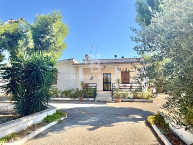 Foto Rustico in STRADA PROVINCIALE 13, Trani di 290 m² con 5 locali