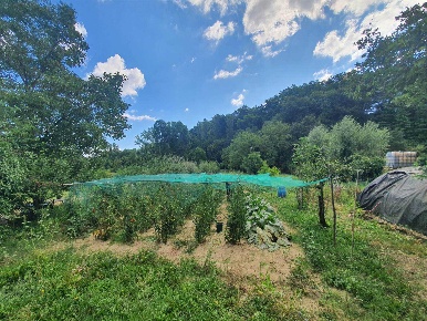 Foto Terreno agricolo in Via del pantano, Cetona di 14 m² in vendita
