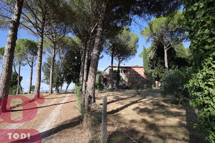 Foto Appartamento in Via Vasciano 1, Todi di 100 m² con 4 locali in affitto