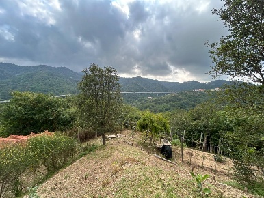 Foto Terreno agricolo a Quiliano di 4000 m² in vendita
