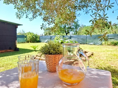Foto Case semi ndipendenti in SILVELLA, San Vito di Fagagna Silvella
