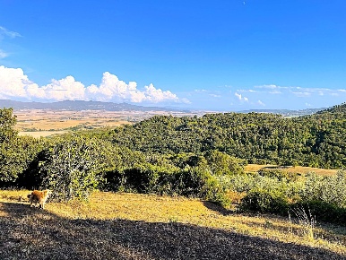 Foto Terreno agricolo in Località di Popogna la Concezione 35, in vendita