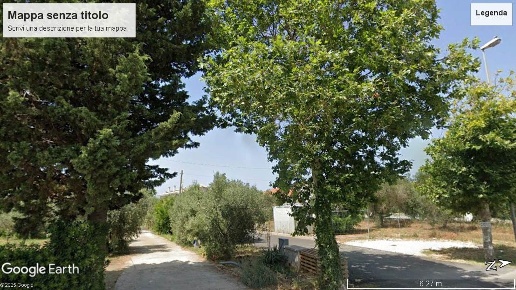 immagine annuncio 3 di 9