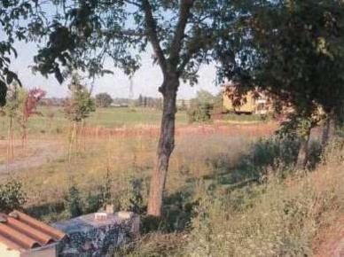 Foto Terreno edificabile in Localita' Borgotrebbia strada dell'Aguzzafame,