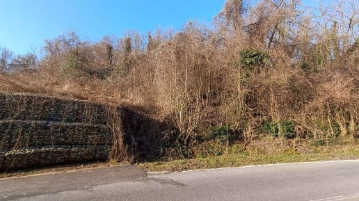 Foto Terreno agricolo in Frazione Brusaschetto, Camino Brusaschetto