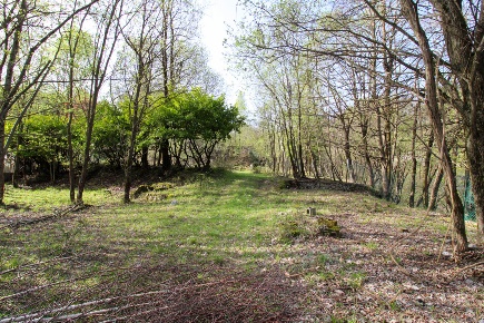 Foto Terreno agricolo in Via provinciale snc, Alta Valle Intelvi di 6000 m²