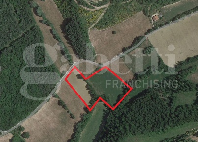 Foto Terreno agricolo in Via Monteluiano 0, Gubbio di 11000 m² in vendita