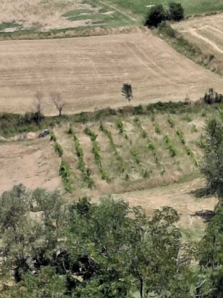 casale in vendita a San Leo
