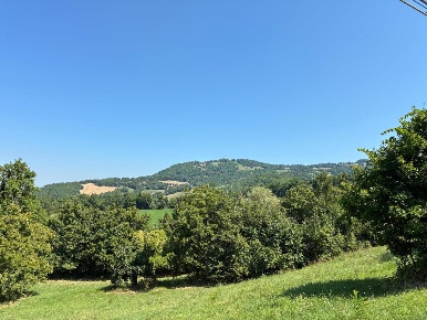 Foto Terreno agricolo in Località Antico Alto 48, Maiolo di 43500 m²