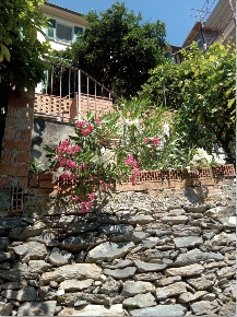 Foto Villa singola a Ameglia Centro di 180 m² con 6 locali in vendita