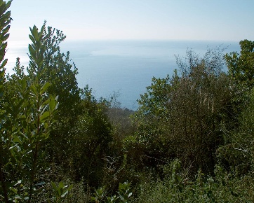 Foto Terreno edificabile a Camerota Monte Di Luna di 50 m² in vendita