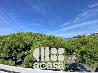 Foto Hotel a Cesenatico di 1400 m² con 45 locali in vendita