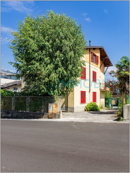 immagine annuncio 3 di 14