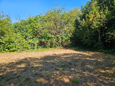 Foto Terreno residenziale a Grosseto Istia D'Ombrone - Poggio la Mozza