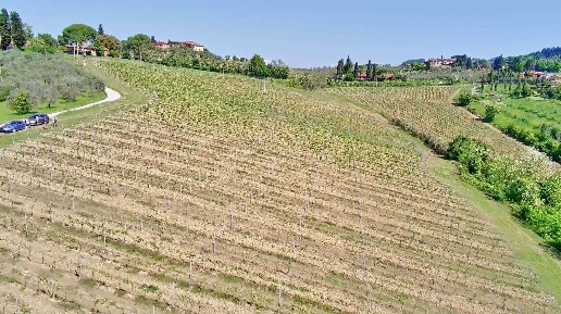 Foto Terreno agricolo a Certaldo Centro in vendita