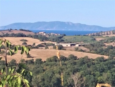 Foto Villa unifamiliare a Magliano in Toscana Centro di 248 m² in vendita