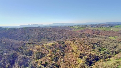 Foto Cessione attività a Scansano di 157 m² con 2 locali in vendita