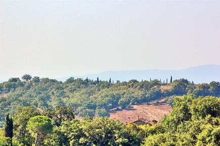 Foto Appartamento a Scansano Centro di 156 m² con 6 locali in vendita