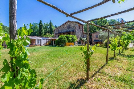 Foto Rustico a Terranuova Bracciolini Centro di 630 m² con 30 locali