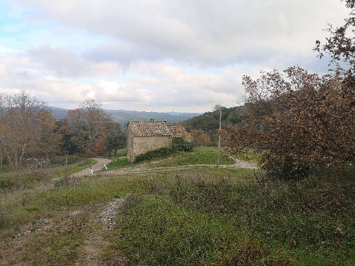 immagine annuncio 11 di 14