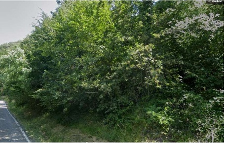 Foto Terreno agricolo in Via Anconella, Loiano Centro di 24516 m²