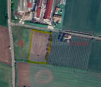 Foto Terreno agricolo in Via cereolo 1, Cologna Veneta di 4000 m²