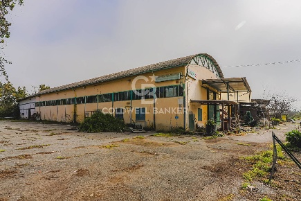 Foto Locale commerciale in Via Tiberina, Roma Prima Porta di 1100 m²