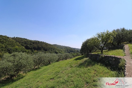 Foto Terreno agricolo in Strada Del Borago, Verona Avesa di 7000 m²