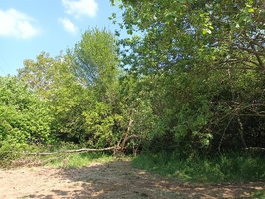 Foto Terreno edificabile a Vicoforte di 2390 m² in vendita