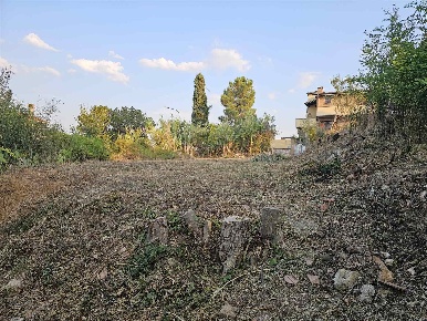 Foto Terreno edificabile a Montescudaio di 100 m² in vendita