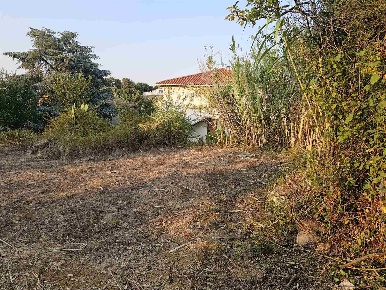 Foto Terreno edificabile a Montescudaio di 100 m² in vendita