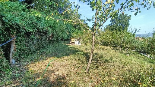 Foto Terreno agricolo in Via Voc.lo Camerano snc, Orte di 3600 m²