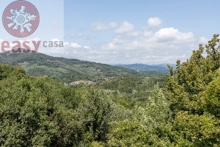 Foto Rustico in Località Selvareggio, Lucca di 400 m² con 10 locali