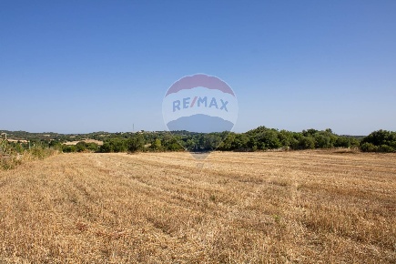 Foto Terreno agricolo in contrada Gelso Anellù, Noto di 41 m² in vendita