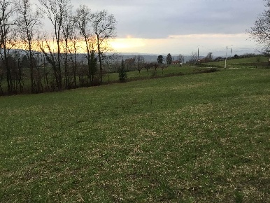 Foto Cessione attività a Vignale Monferrato di 600 m² con 1 locali