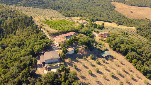 Foto Cessione attività in Case Sparse Fosse 16, Castiglione d'Orcia