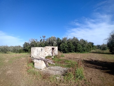 Foto Terreno agricolo a Ortelle di 18000 m² in vendita