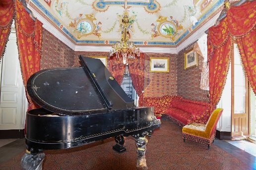 immagine annuncio 5 di 15