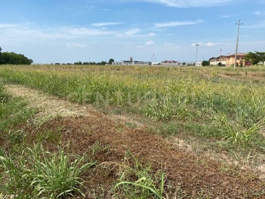 Foto Terreno industriale in Via le Cassere, Oppeano Villa Fontana