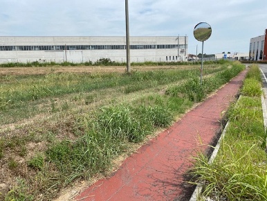 Foto Terreno industriale in Via le Cassere, Oppeano Villa Fontana