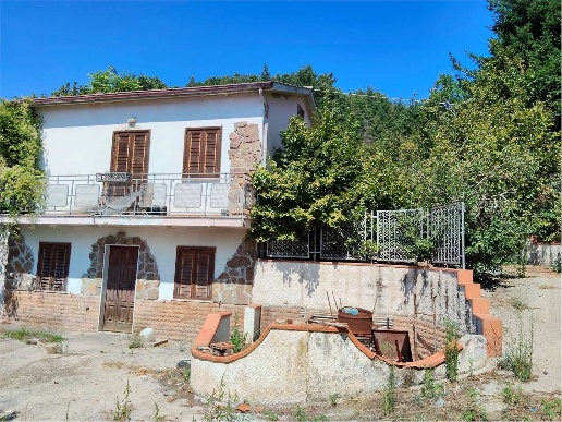 immagine annuncio 1 di 7