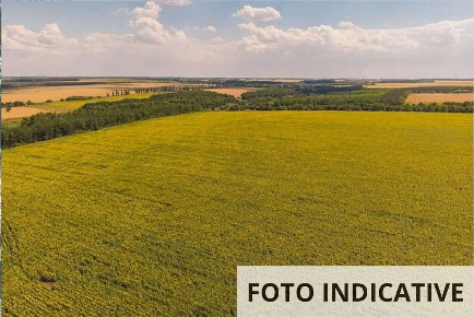 Foto Terreno agricolo in Ca' Del Fabbro, Gazzola Centro di 14720 m²