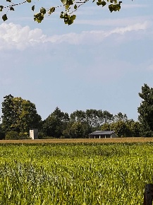 Foto Terreno agricolo a Luzzara Centro in vendita