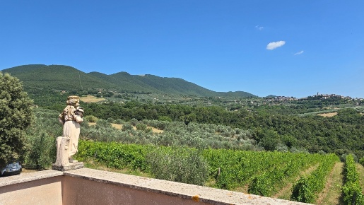 Foto Casale in Via Pilli snc, Montecchio di 300 m² con 12 locali in vendita