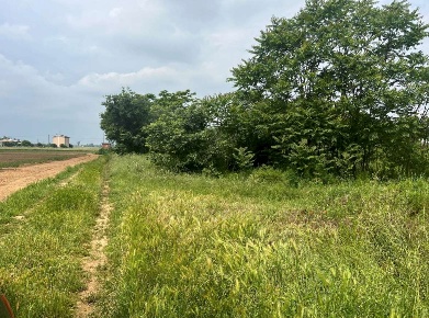 Foto Terreno edificabile in Frazione Spinetta Marengo, Alessandria