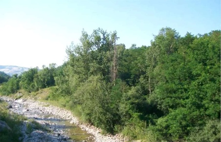Foto Terreno agricolo in Localita' Castana, Travo di 13665 m² in vendita