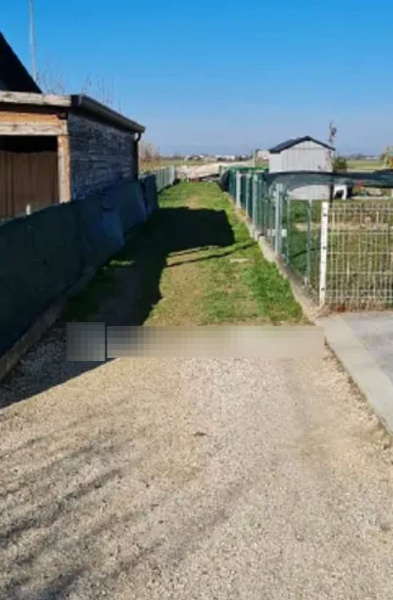 immagine annuncio 7 di 15