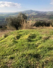 Foto Terreno edificabile in Via San Savino Granarola, Gradara Granarola