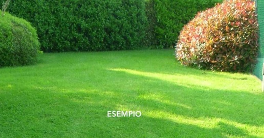 Foto Terreno edificabile in Via Primo Levi, Castelnuovo Rangone di 830 m²