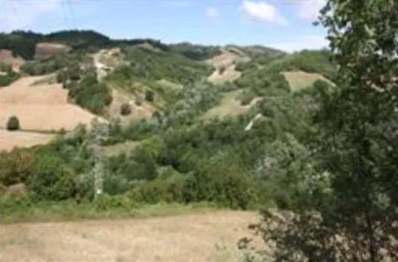 Foto Terreno agricolo in Via Cà Biagio, Urbino in vendita